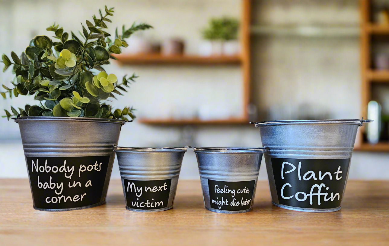 plant coffin pot Pewter Plant Pots