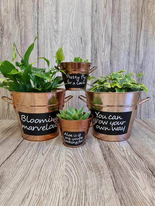 Copper Plant Pots