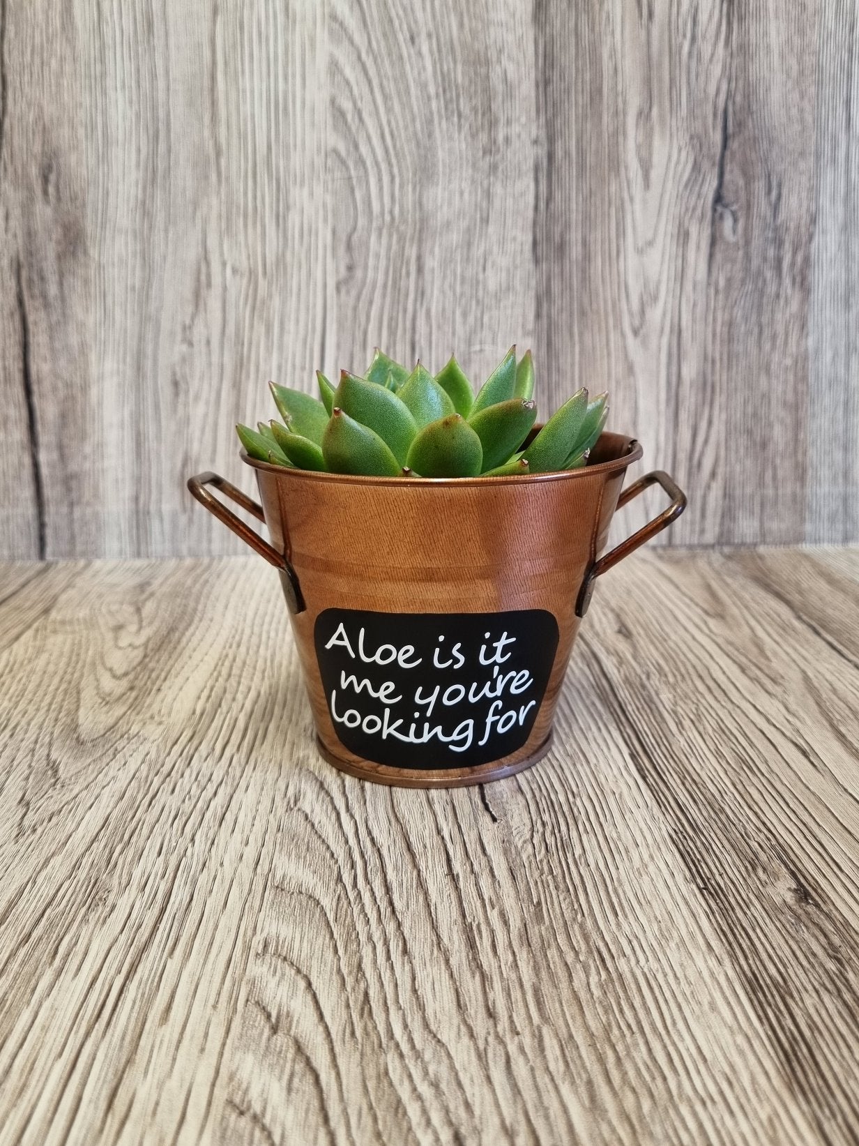 Copper Plant Pots