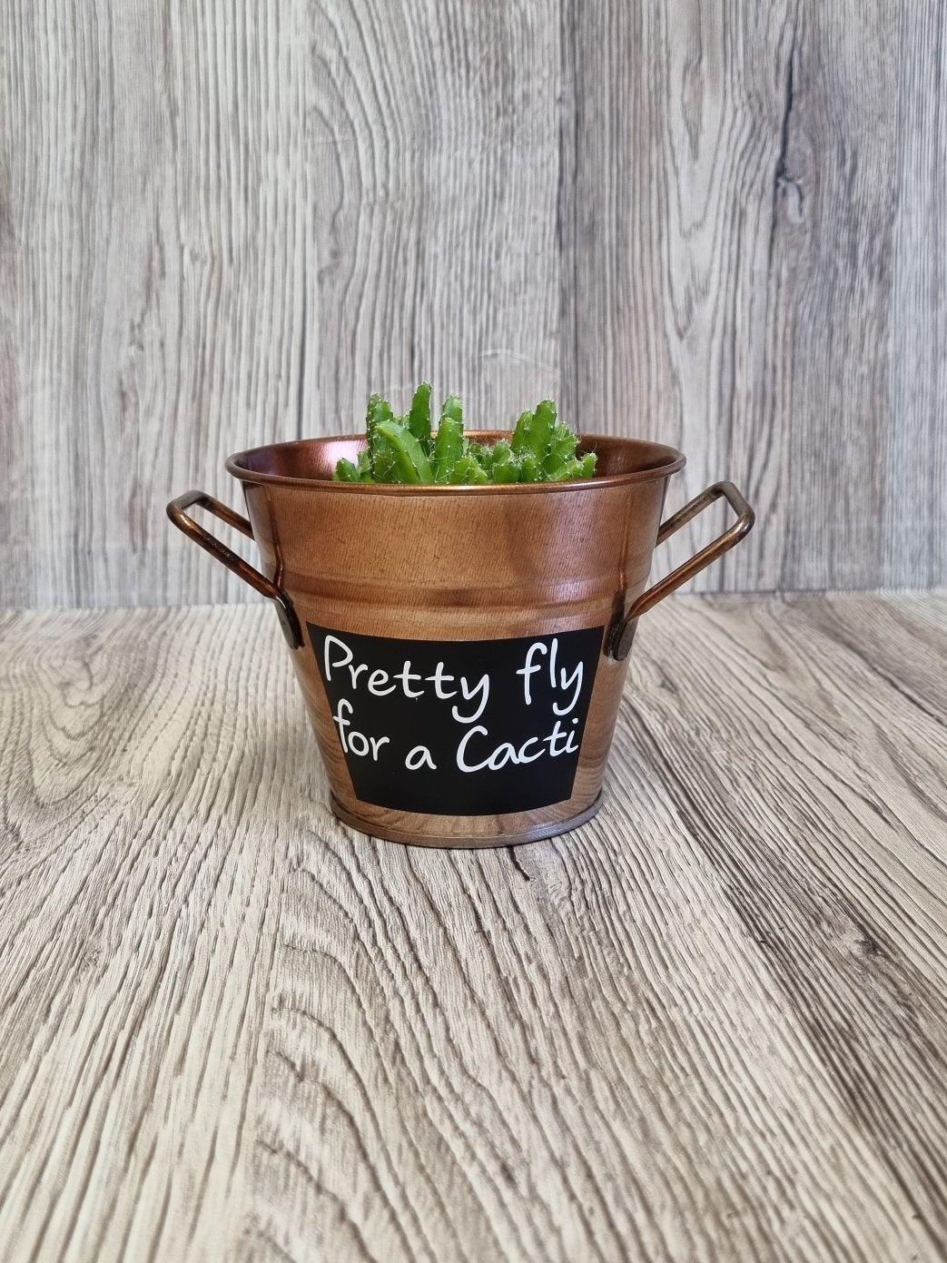 Copper Plant Pots